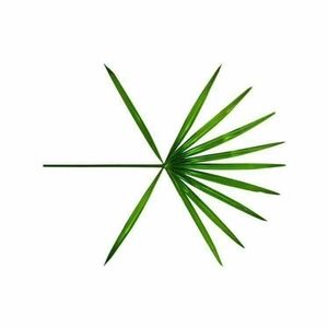 Meet your Posher, Sabrina